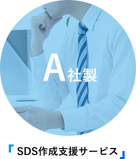 AА SDS쐬xT[rX